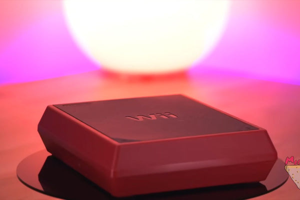 Console Wii Mini : Redécouvrir l'expérience de jeu emblématique de Nintendo