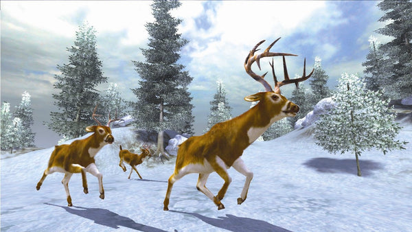 Cabela's Monster Buck Hunter avec pistolet - Jeu Wii - Image 2
