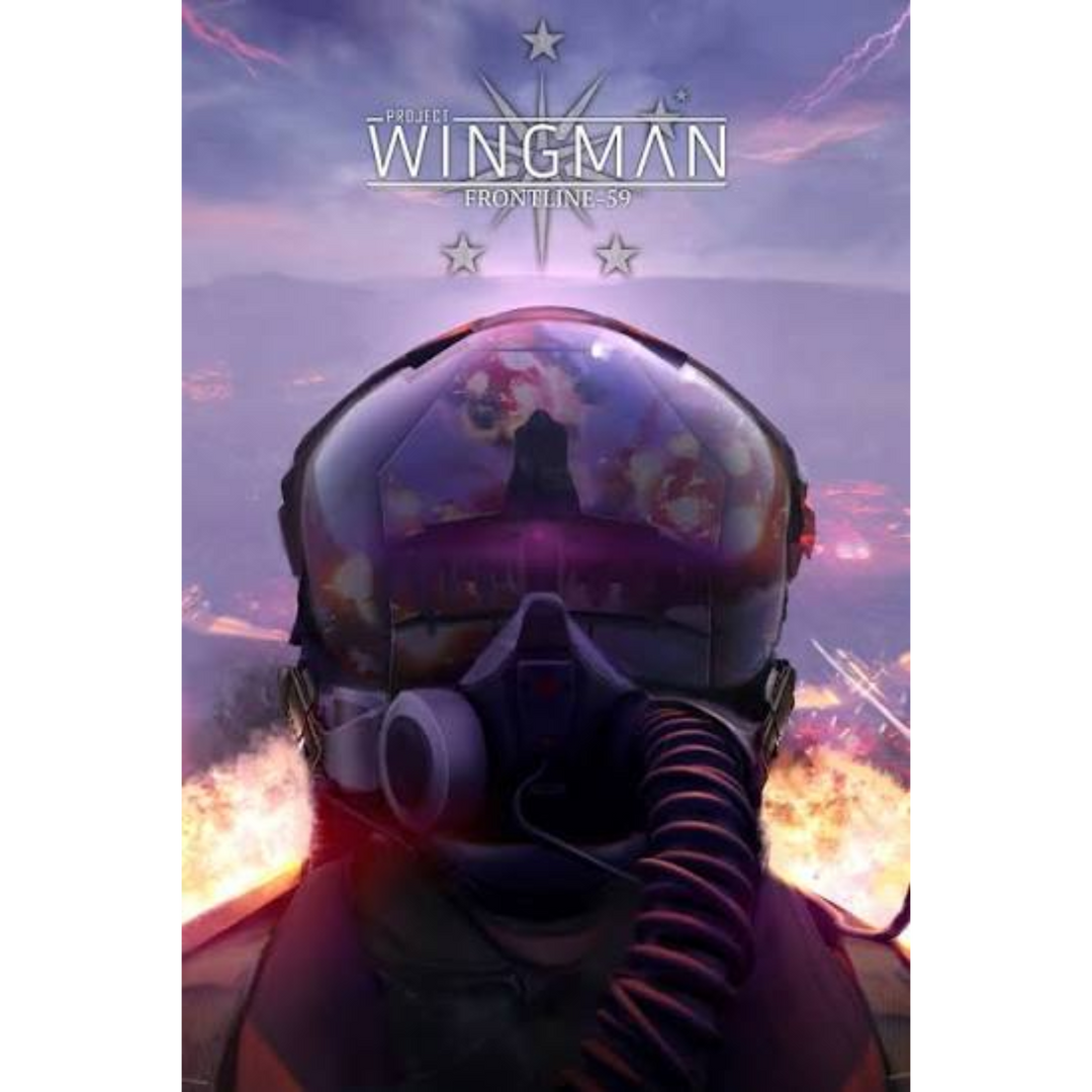 Project Wingman - PS4 Game