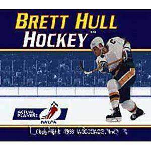 Brett Hull Hockey - SNES Game | Retrolio Games