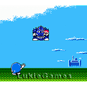 Adventures Lolo - NES Game | Retrolio Games