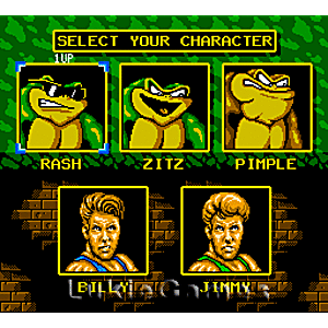 BattleToads/Double Dragon - NES Game | Retrolio Games