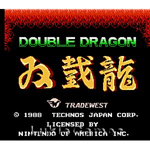Double Dragon - NES Game | Retrolio Games