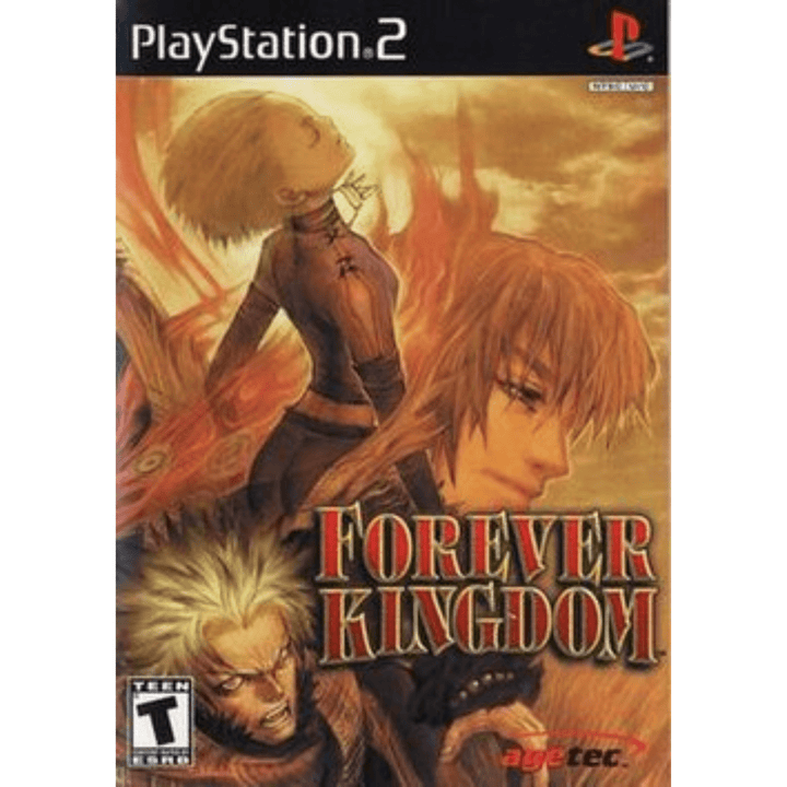 Evergrace II: Forever Kingdom - PS2 Game - Retro vGames
