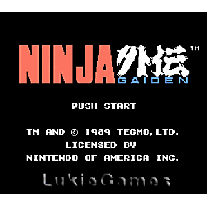Ninja Gaiden - NES Game | Retrolio Games