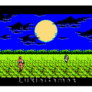 Ninja Gaiden - NES Game | Retrolio Games