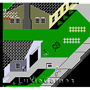 Paperboy - NES Game | Retrolio Games
