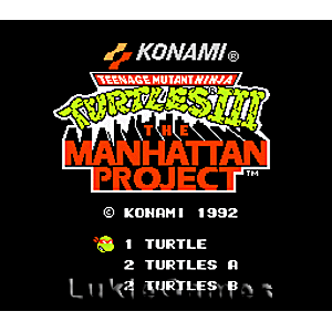 Teenage Mutant Ninja Turtles 3 - Jeu NES - Image 3