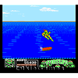 turtles3_4_9ea2b722-194c-4a93-a578-72efc48866df.gif