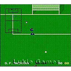 World League Soccer - SNES Game - Retro vGames